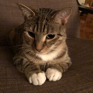 Meet your Posher, Alex